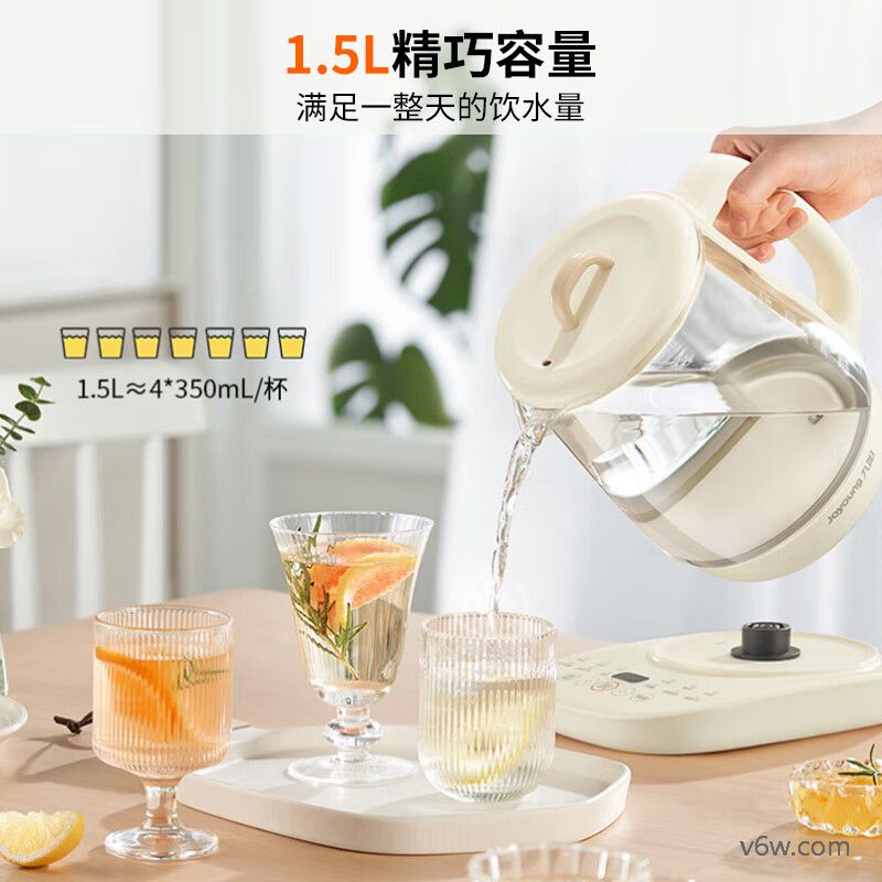 志高HG-Q02B养生壶图片