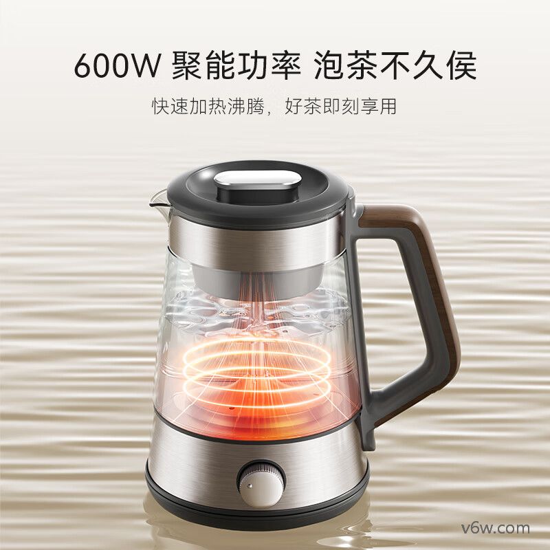 九阳18WY2R养生壶图片