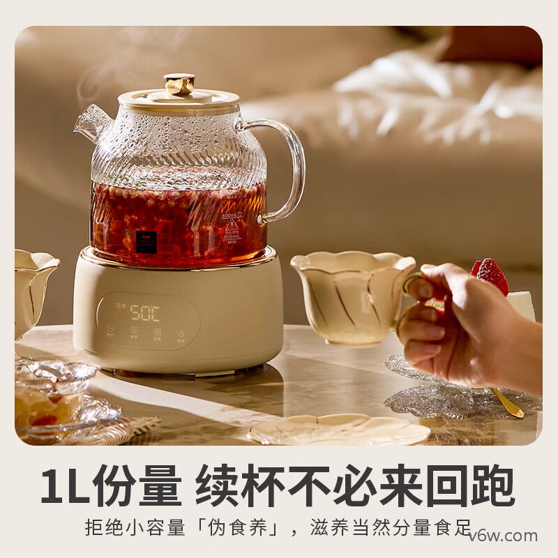 LOTORD-002滤桶款养生壶图片