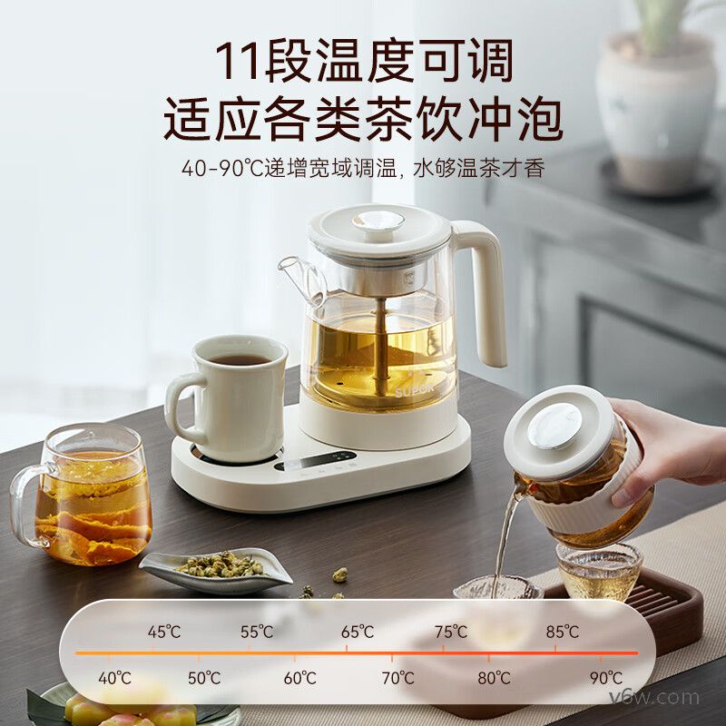 九阳15WY1J养生壶图片