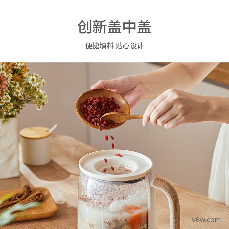 小质YSH02养生壶图片