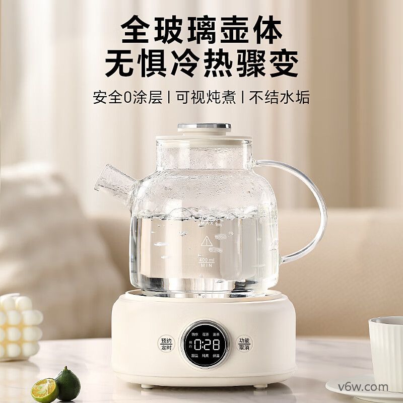 LOTOR-D11养生壶图片