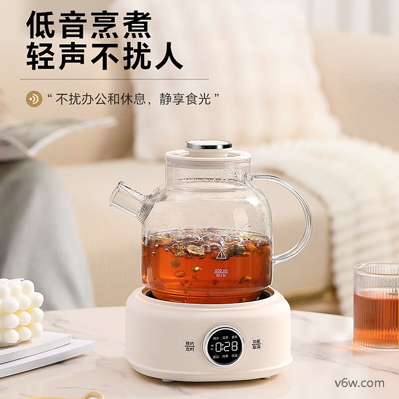 LOTOR-D11养生壶图片