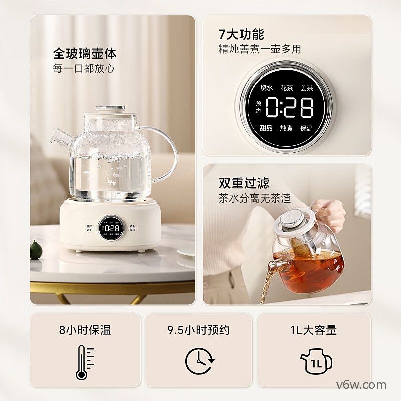 LOTOR-D11养生壶图片