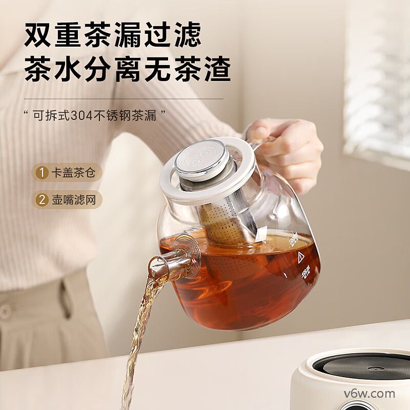 LOTOR-D11养生壶图片