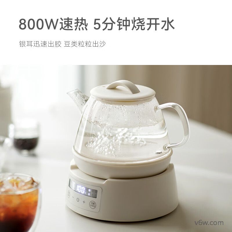 欧莱克OLK-06-06养生壶图片