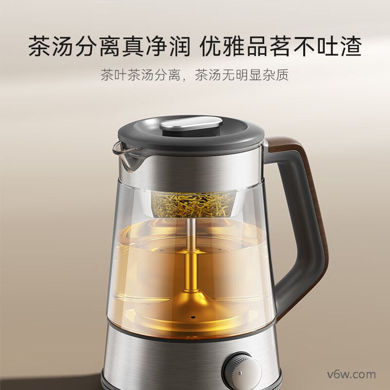 九阳18WY2R养生壶图片