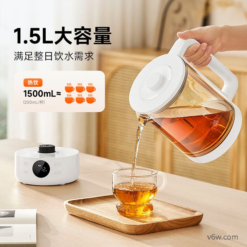 苏泊尔SW-10C13养生壶图片