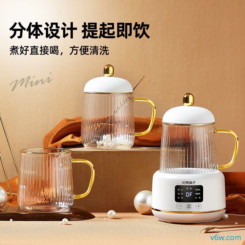 生活元素I161养生壶图片