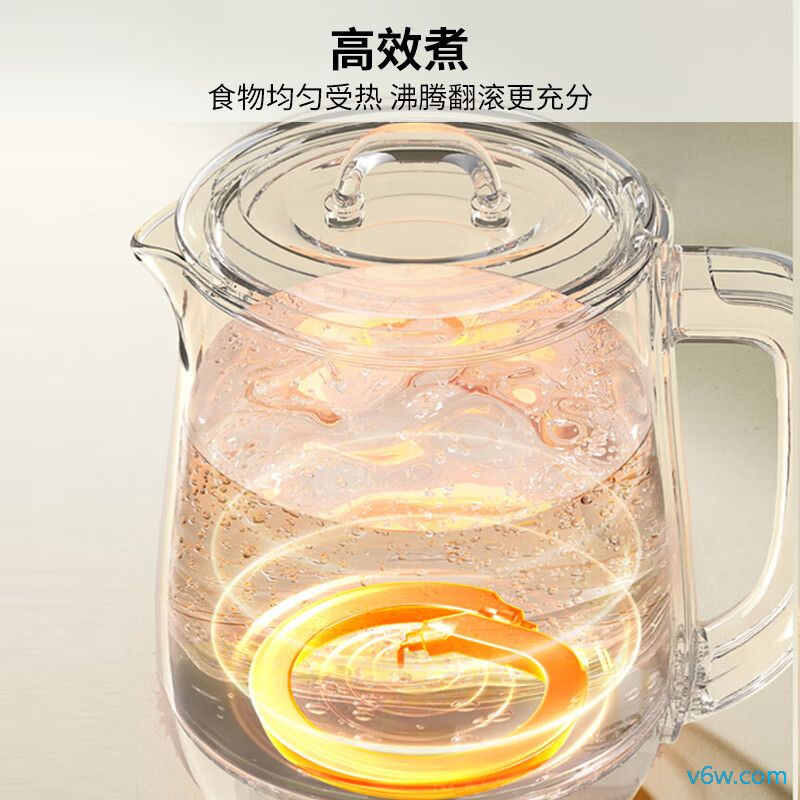 志高HG-Q02B养生壶图片