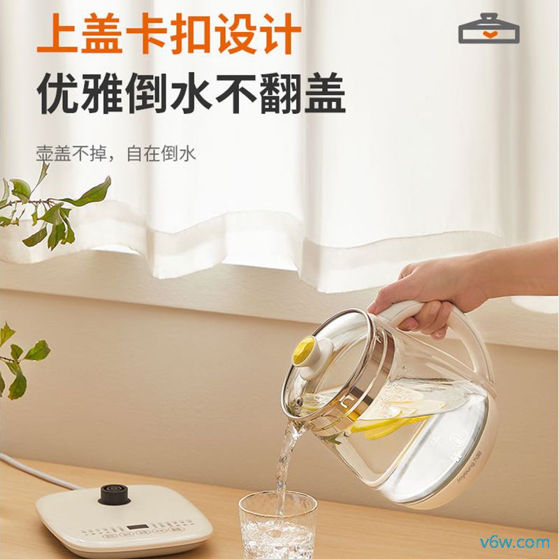 OIDIREODI-NNB03养生壶图片