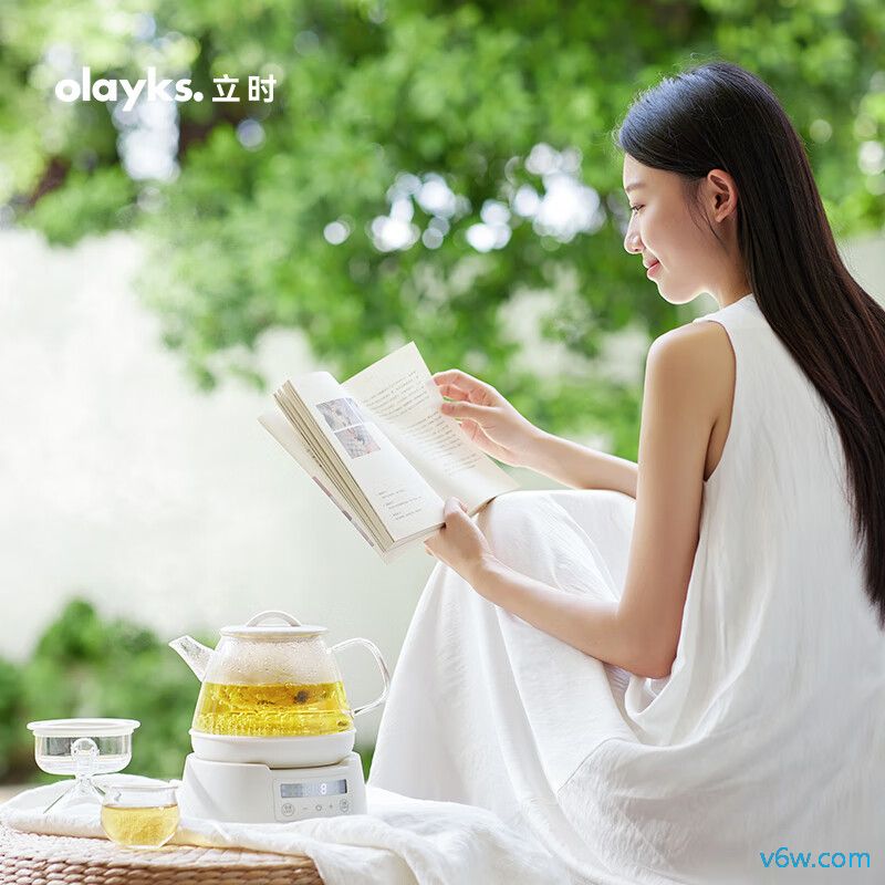 欧莱克OLK-06-08养生壶图片
