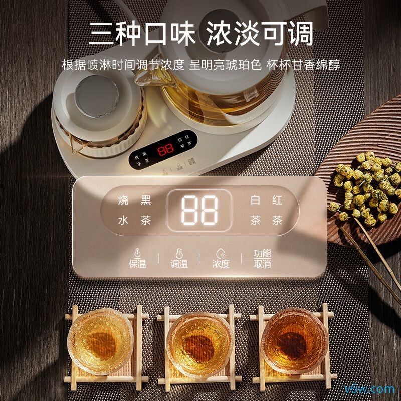 九阳15WY1J养生壶图片