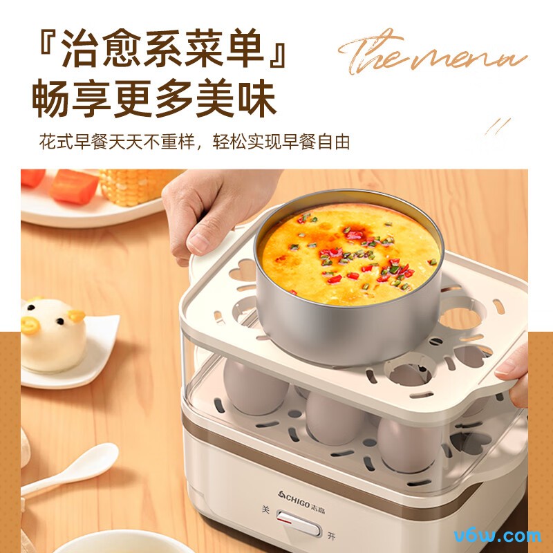 志高ZDQ204煮蛋器图片