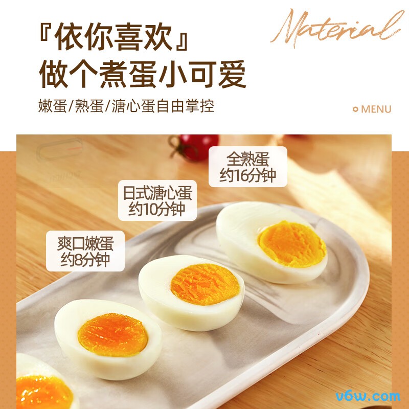 志高ZDQ204煮蛋器图片