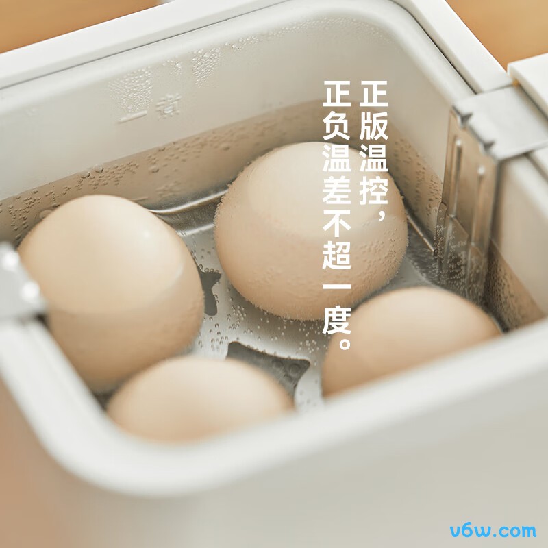 欧莱克OLK-01-04煮蛋器图片