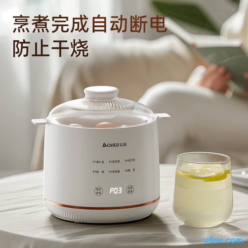 志高YEK-ZD01煮蛋器图片