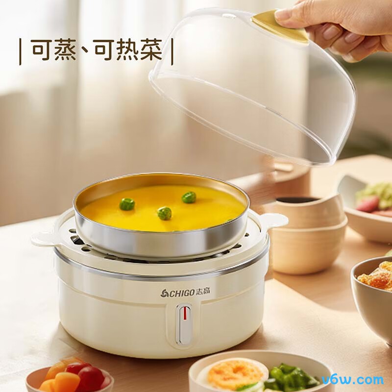 志高ZDQ210煮蛋器图片