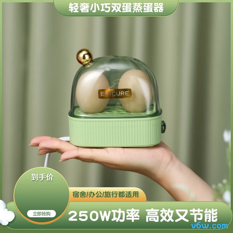 虎式飞跃HP101煮蛋器图片