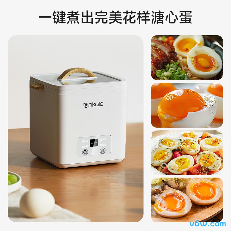 ankaleAJL-ZD10煮蛋器图片