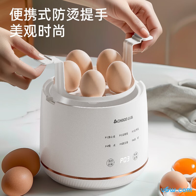 志高YEK-ZD01煮蛋器图片
