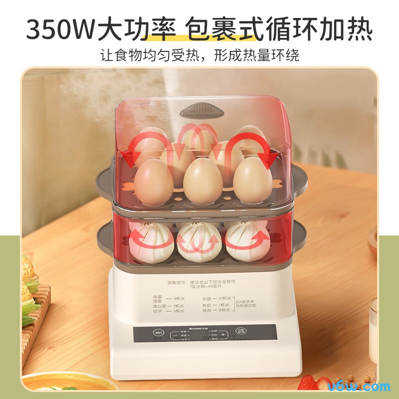志高JPZDQ002煮蛋器图片