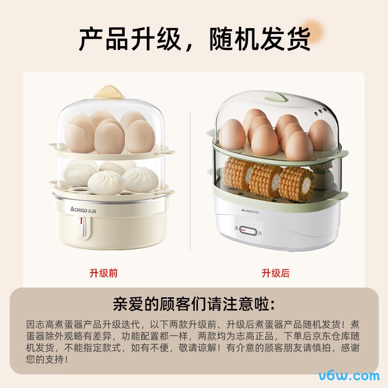 志高ZDQ210煮蛋器图片