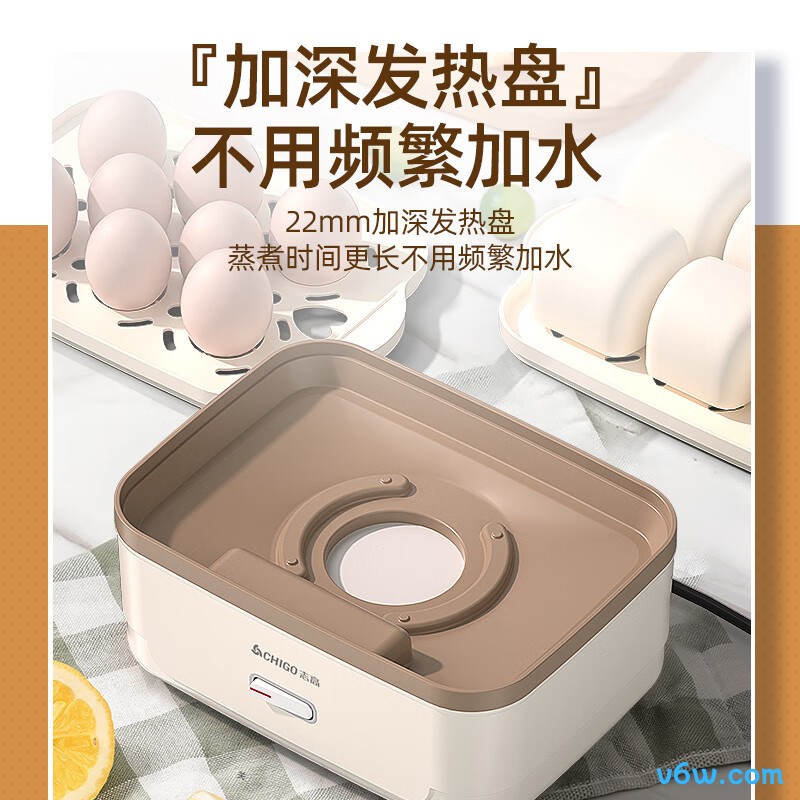 志高ZDQ204煮蛋器图片