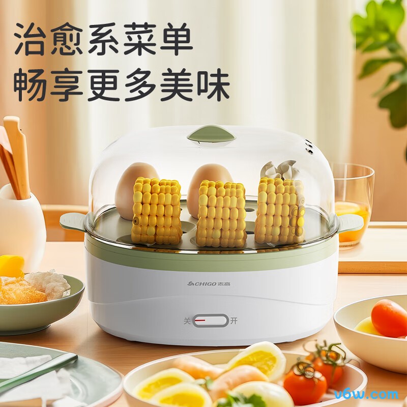 志高ZDQ208煮蛋器图片