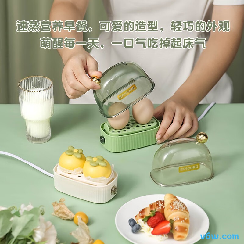 虎式飞跃HP101煮蛋器图片