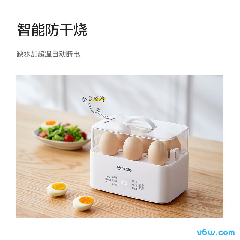 ankaleAJL-ZD11煮蛋器图片