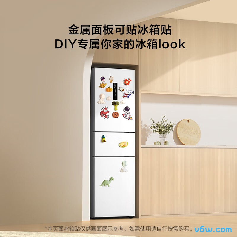 TCL-R261V3-C冰箱图片