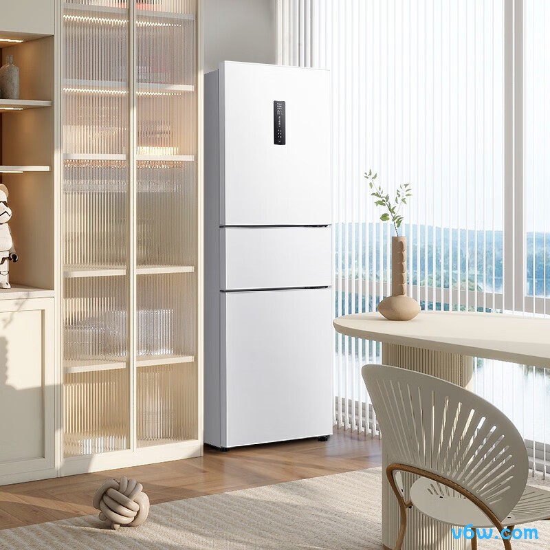 TCL-R261V3-C冰箱图片