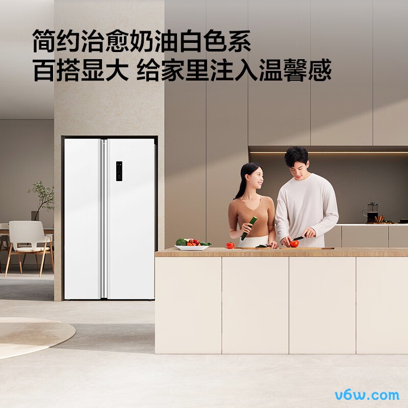 TCL-R650T5-S冰箱图片