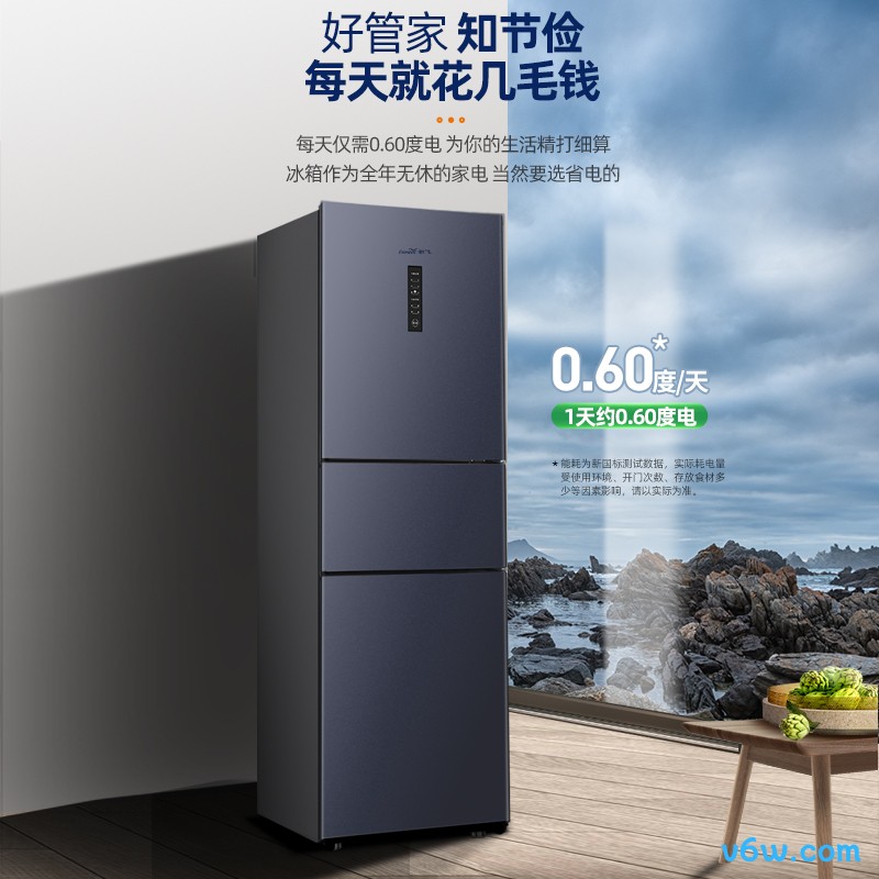 新飞BCD-223WK3DT冰箱图片