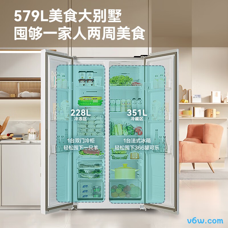 荣事达R579FSP冰箱图片