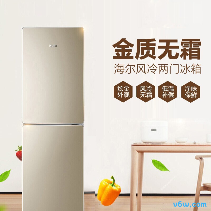 海尔190WDPT冰箱图片