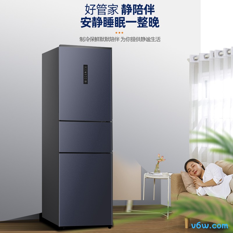 新飞BCD-223WK3DT冰箱图片