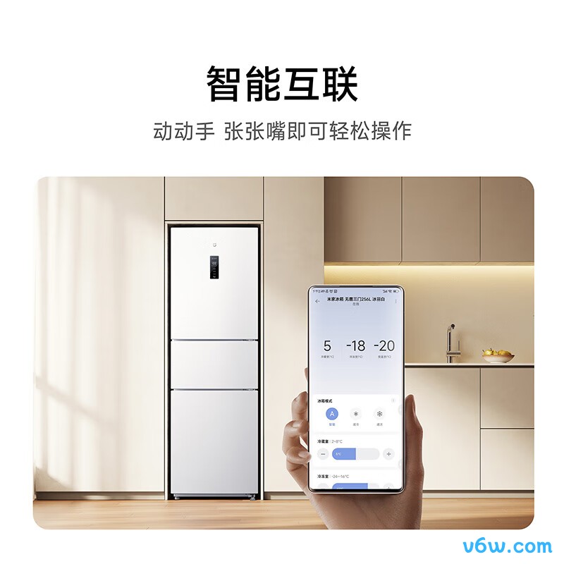 米家BCD-256WMSA冰箱图片