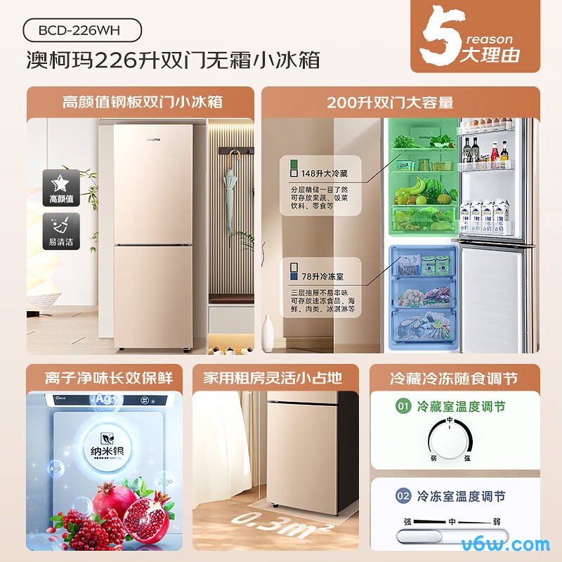 澳柯玛BCD-226WH冰箱图片