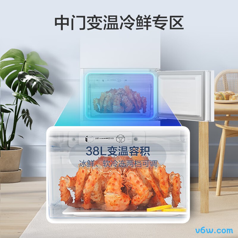 容声BCD-222WD3NE冰箱图片