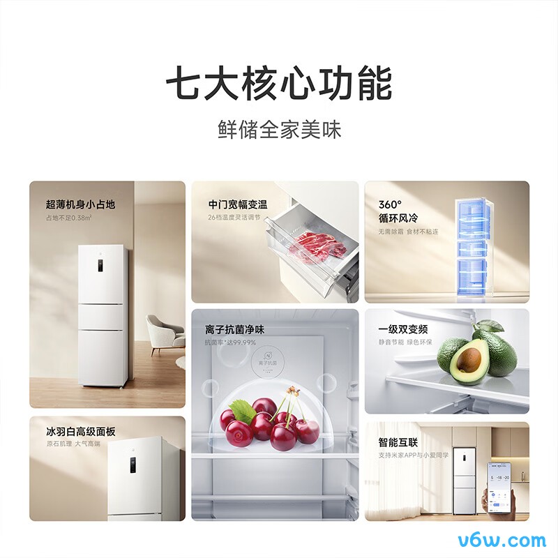 米家BCD-256WMSA冰箱图片