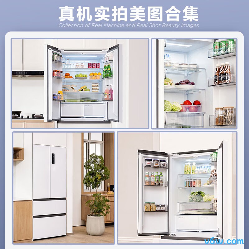 TCL-R466T9-DQ冰箱图片