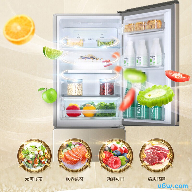 海尔190WDPT冰箱图片