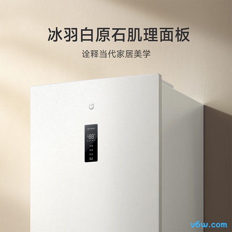 米家BCD-256WMSA冰箱图片