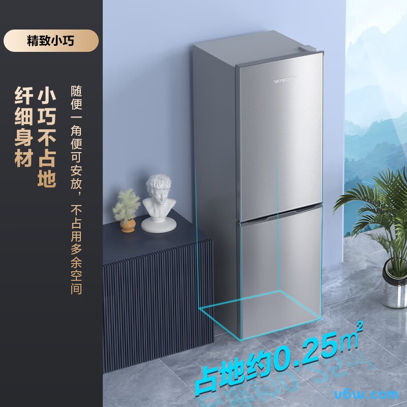 创维BCD-160冰箱图片