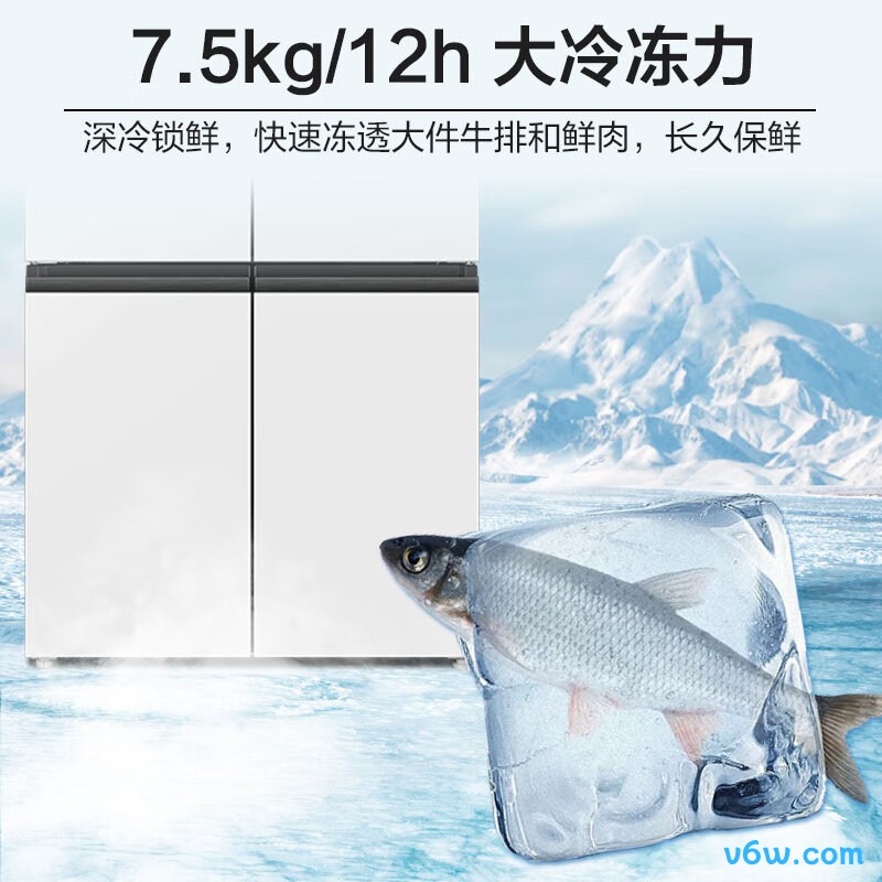 海尔BCD-549WGHTD58WV冰箱图片