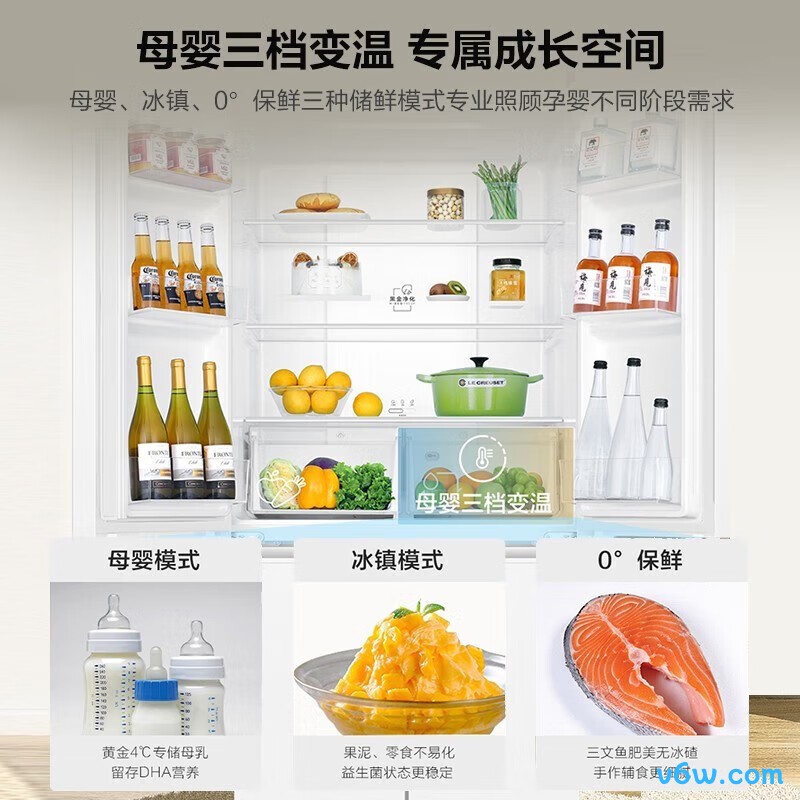 统帅BCD-473WGLTDEDW9冰箱图片