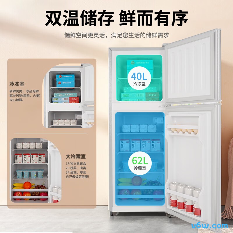 志高BCD-102A138JD冰箱图片
