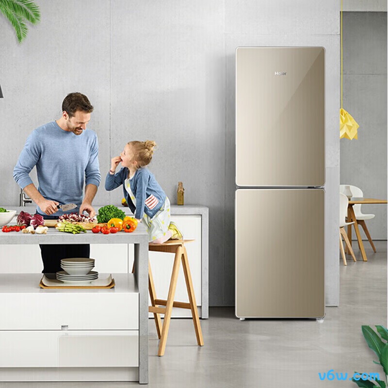 海尔190WDPT冰箱图片